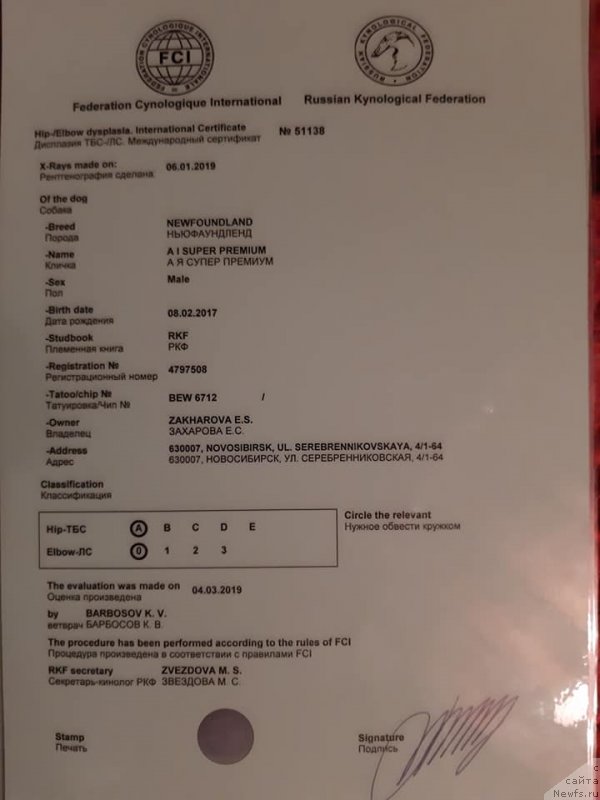 Фотография № 242328