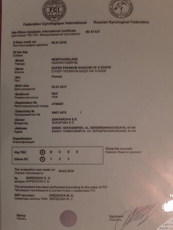 Фотография № 242329