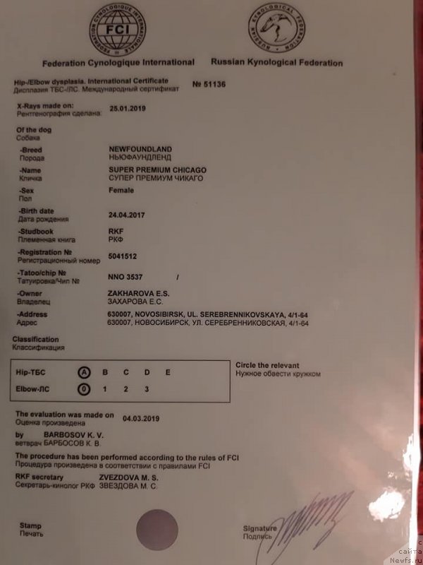 Фотография № 242330