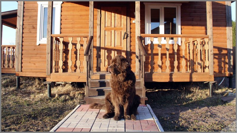 Фотография № 242344