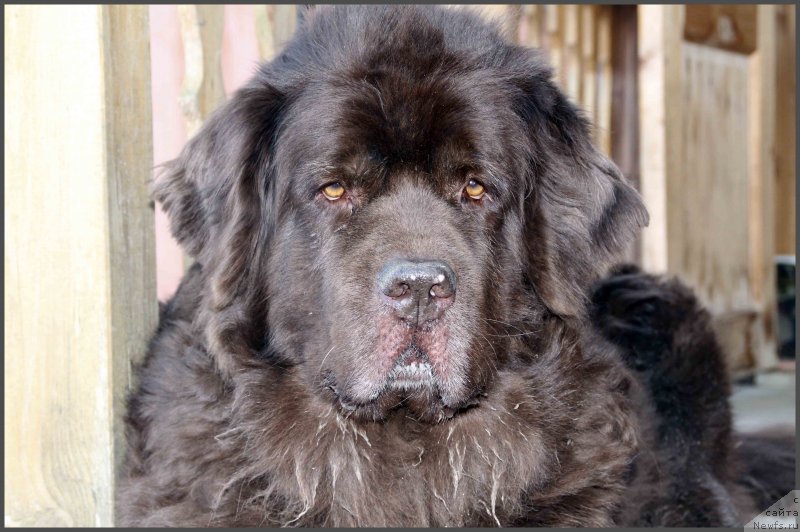 Фотография № 242346