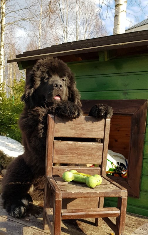 Фотография № 242353