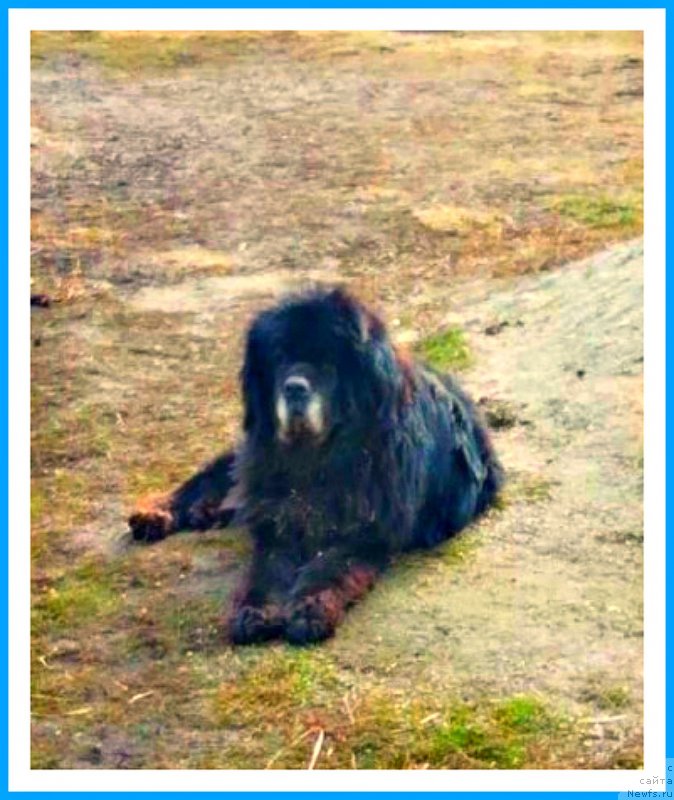 Фотография № 242369