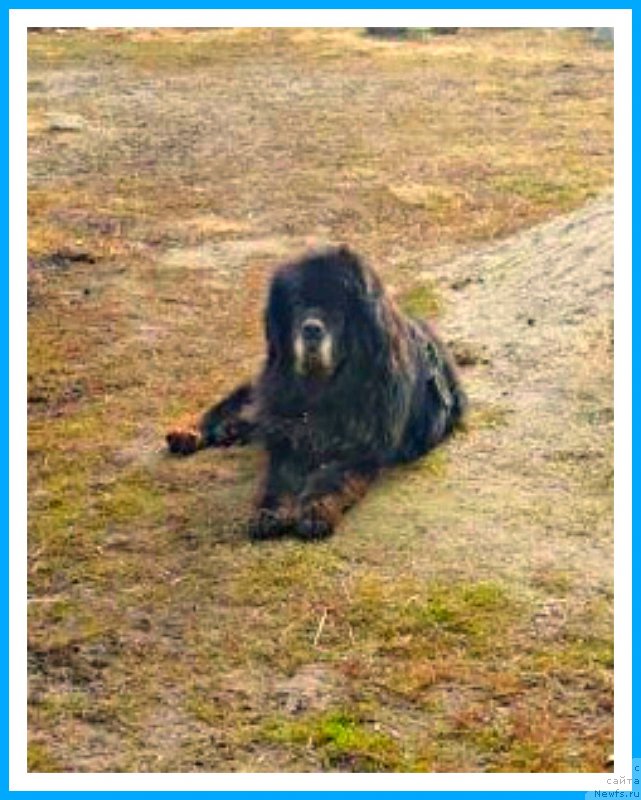 Фотография № 242370