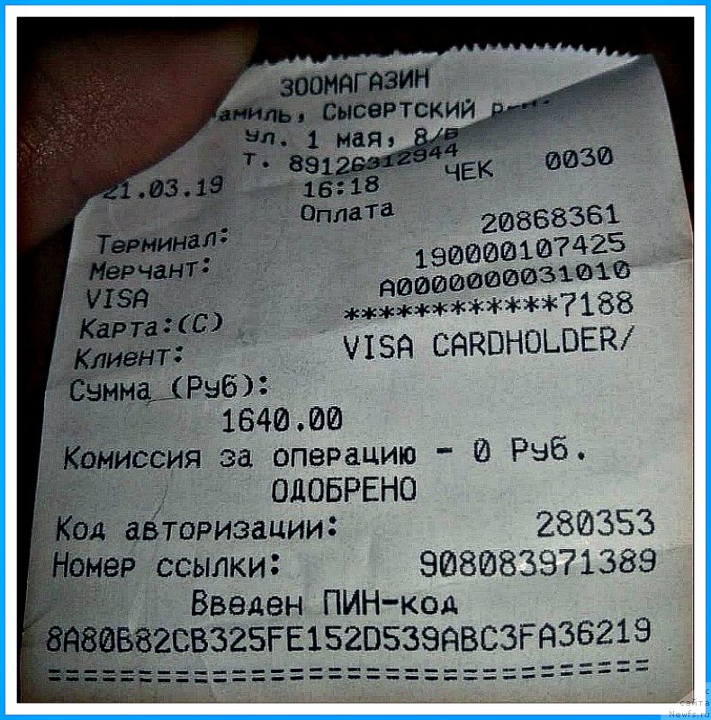 Фотография № 242373