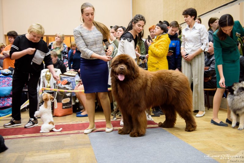 Фотография № 242393