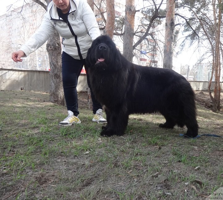 Фотография № 242395