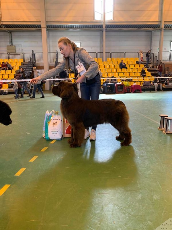 Фотография № 242397