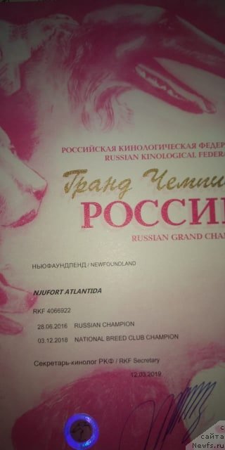 Фотография № 242400