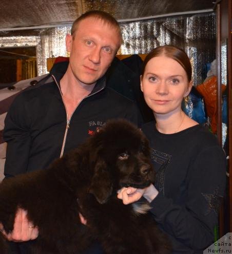 Фото: ньюфаундленд Май Френд Ньюфи Лавендэ Палм (May Frend Newfy Lavender Palm)