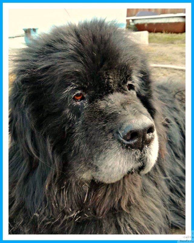 Фотография № 242438