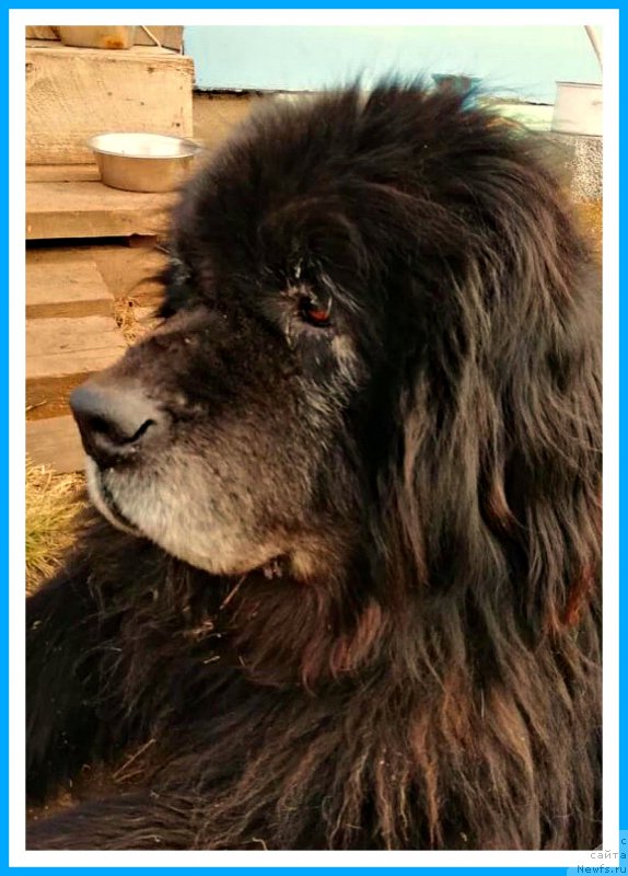 Фотография № 242439