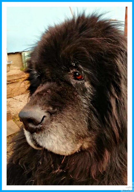 Фотография № 242440