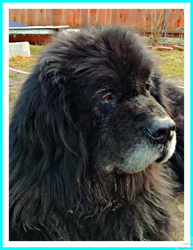 Фотография № 242441