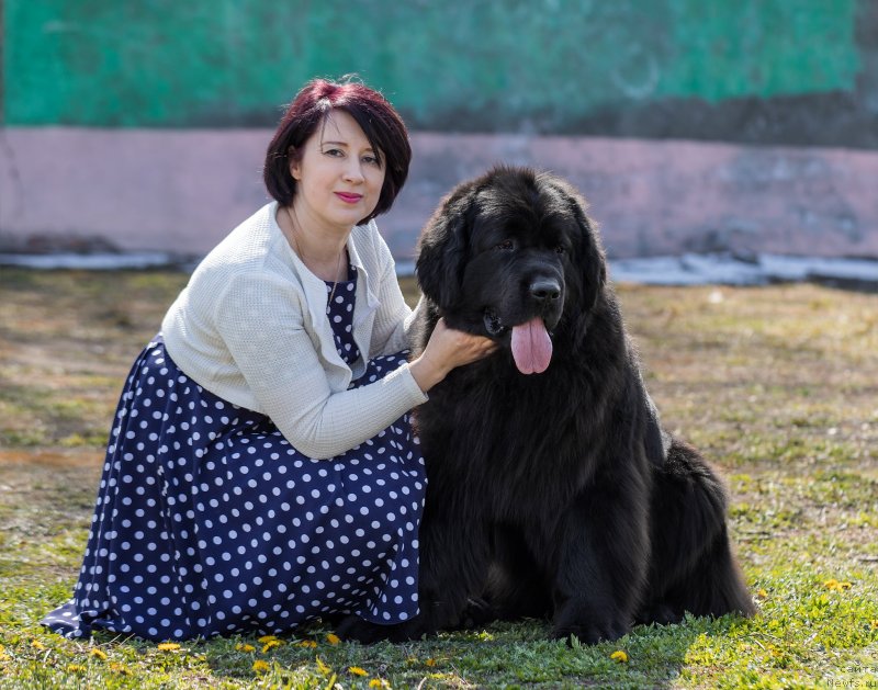 Фотография № 242444