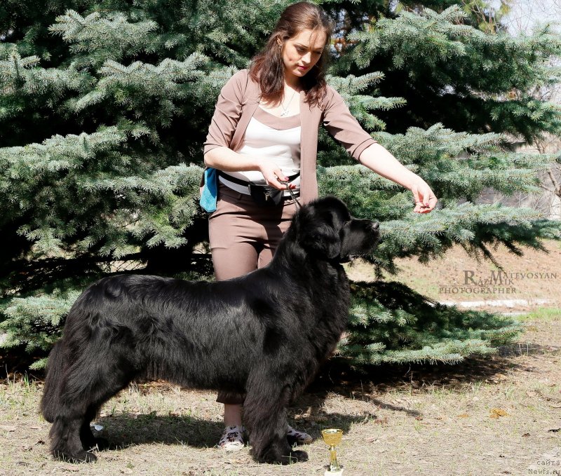 Фотография № 242462