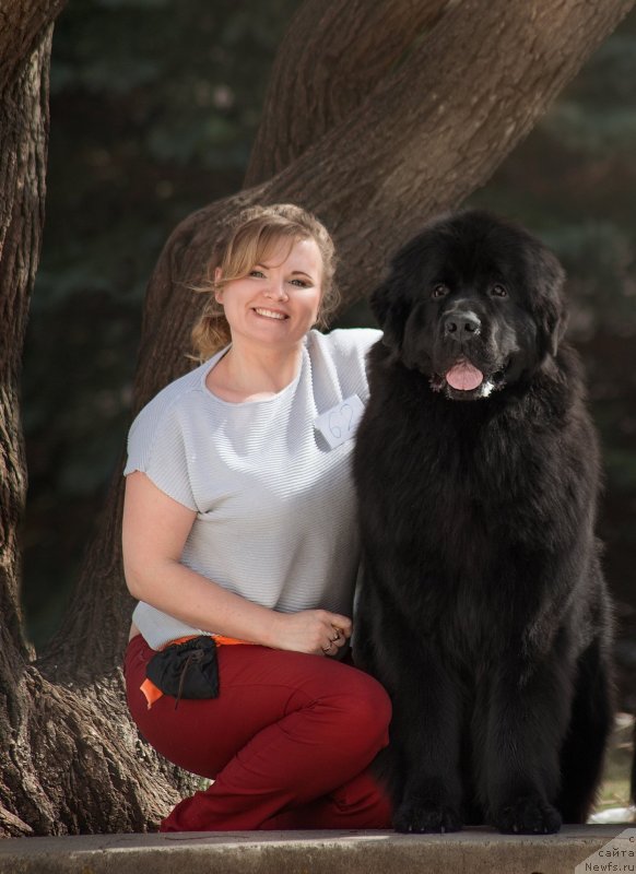 Фотография № 242463