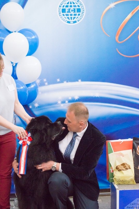 Фотография № 242464