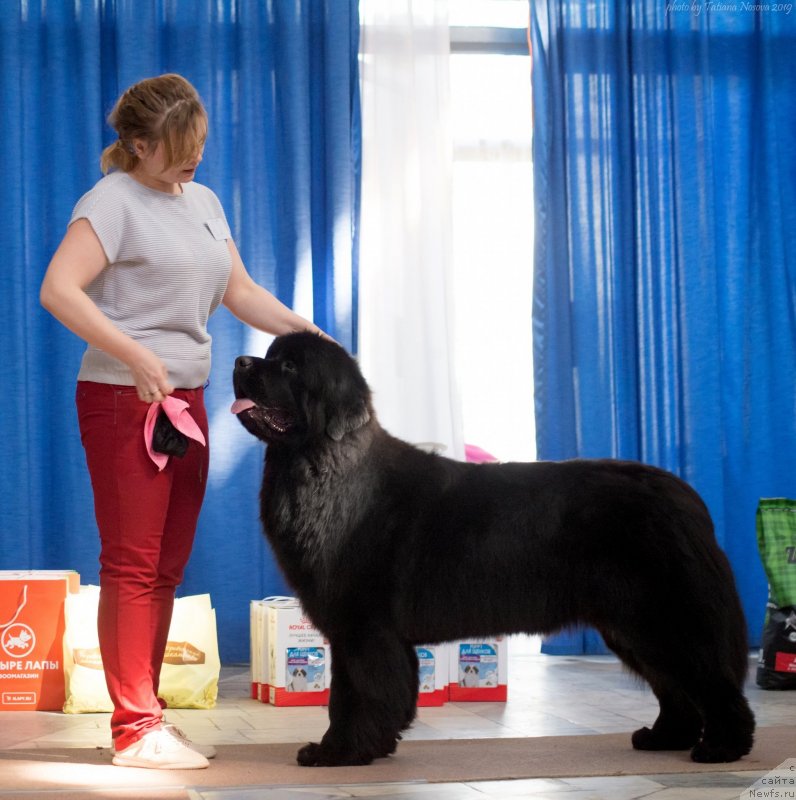 Фотография № 242465