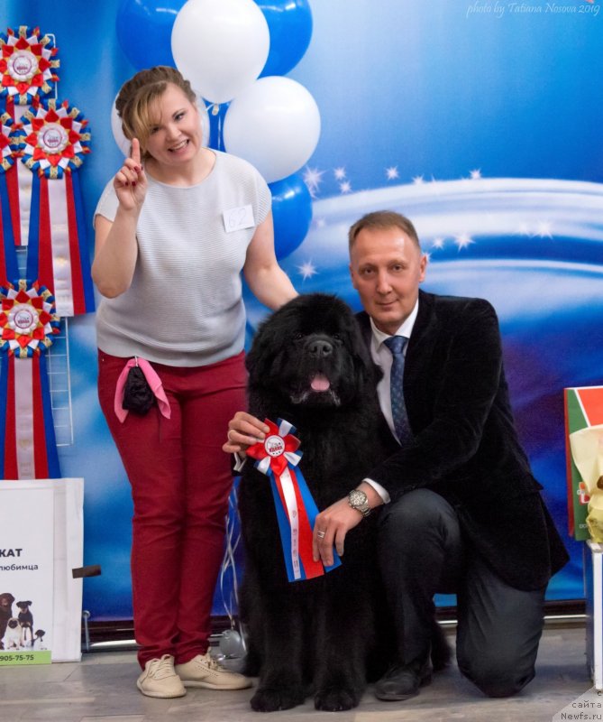 Фотография № 242468