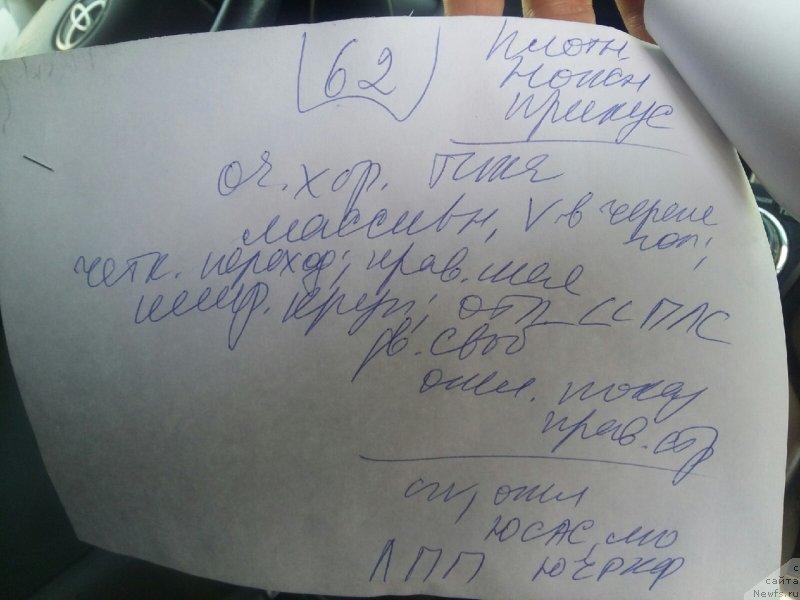 Фотография № 242469