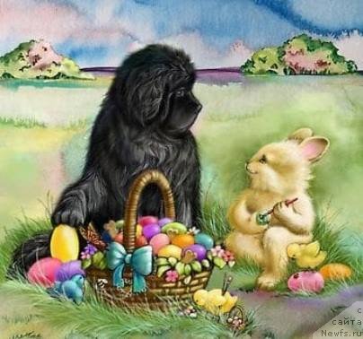 Фотография № 242470