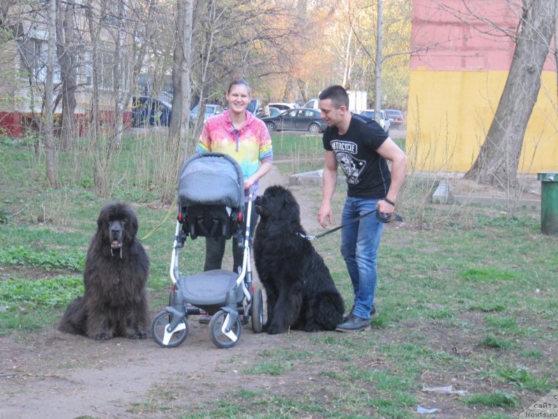 Фотография № 242492