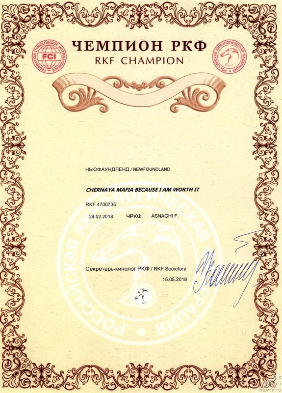 Фото: ньюфаундленд Черная Мафия Бекаусе И Ам Вортх Ит (Chernaya Mafia Because I Am Worth It)