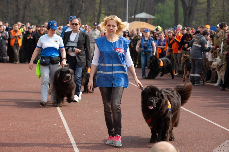 Фотография № 242510