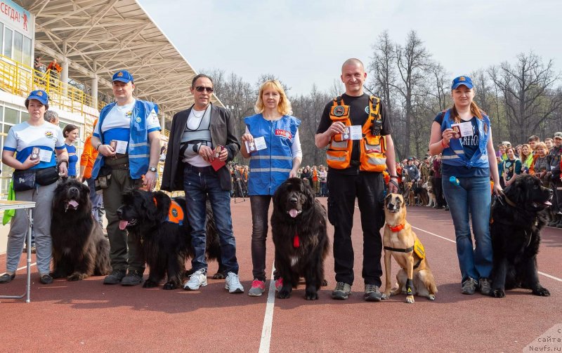 Фотография № 242512