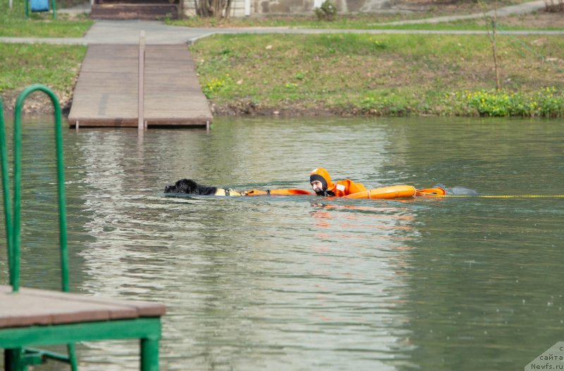 Фотография № 242513