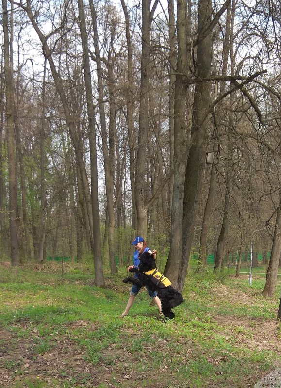 Фотография № 242515