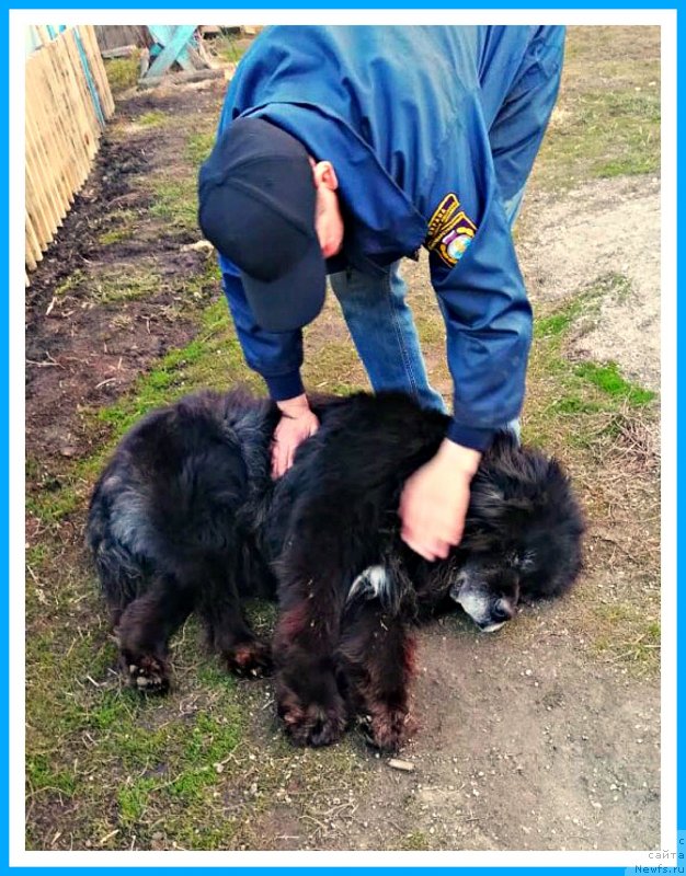 Фотография № 242554