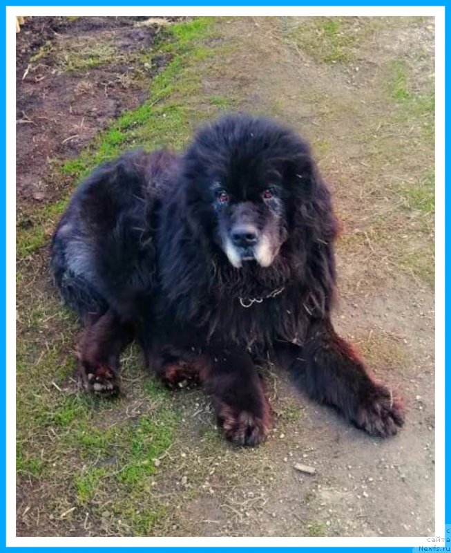 Фотография № 242555