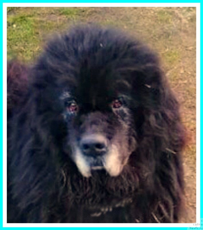 Фотография № 242556