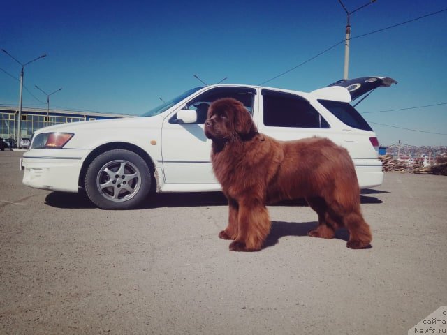 Фотография № 242567