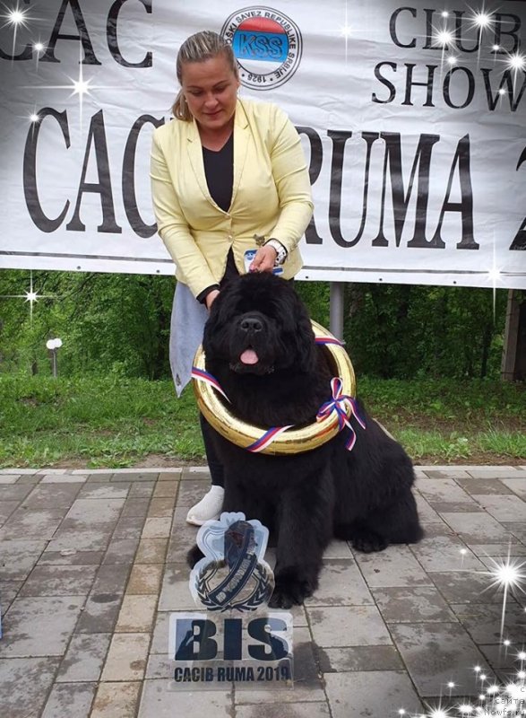 Фотография № 242568