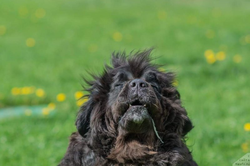 Фотография № 242600