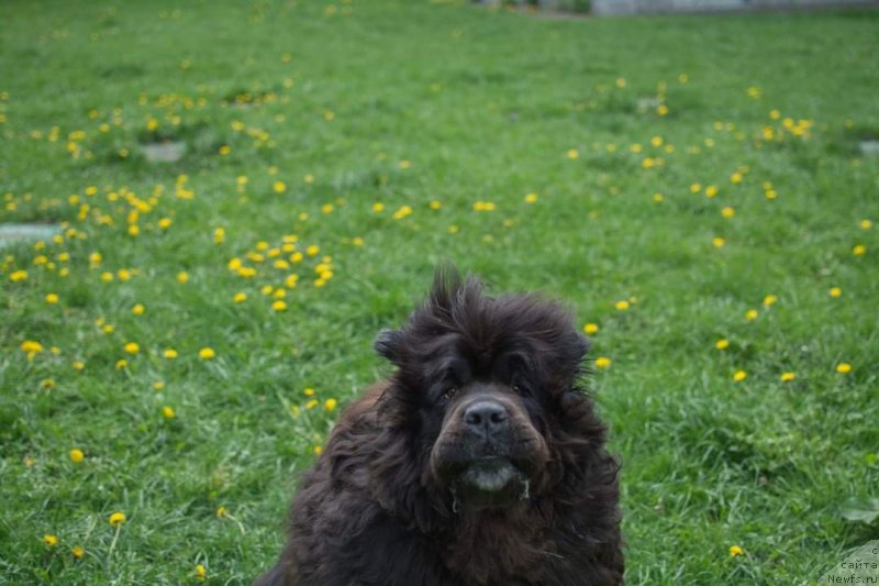 Фотография № 242601