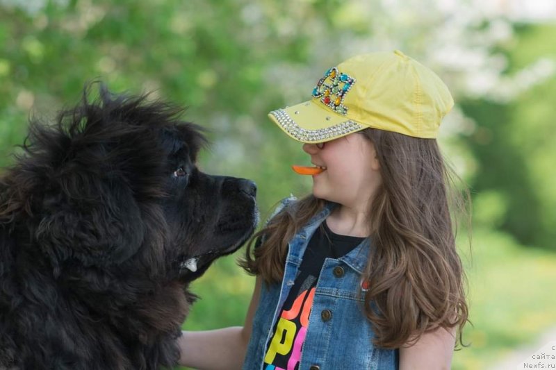 Фотография № 242602