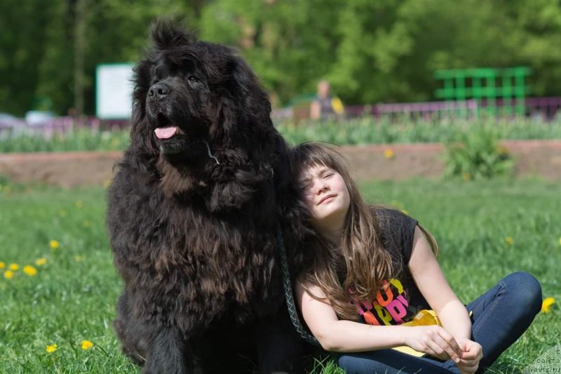 Фотография № 242603