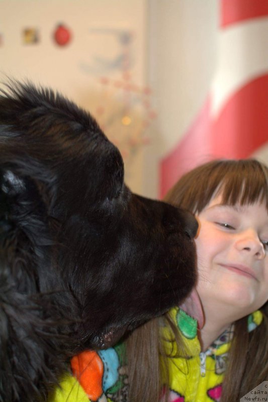 Фотография № 242604