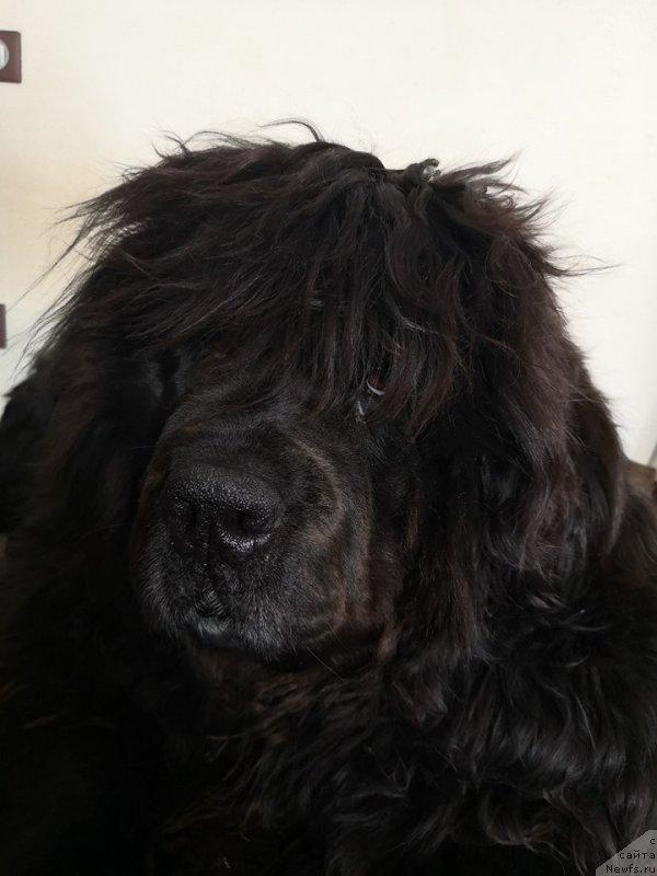 Фотография № 242618