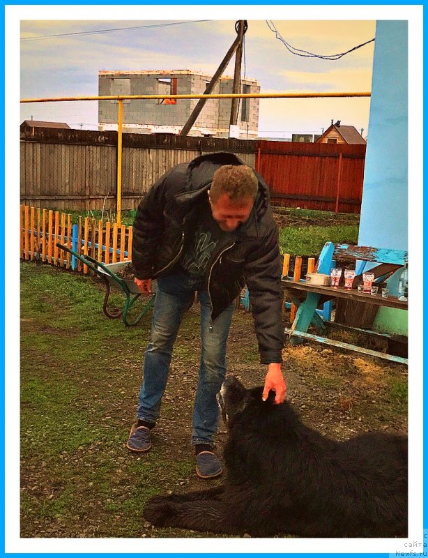 Фотография № 242625