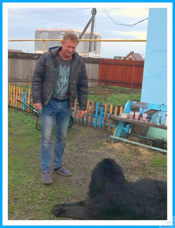 Фотография № 242626