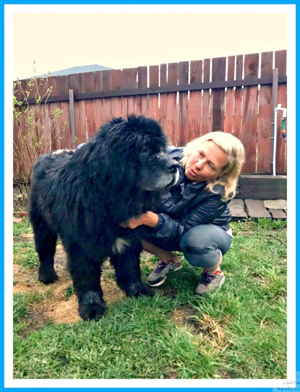 Фотография № 242627