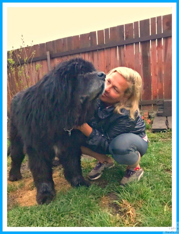 Фотография № 242628