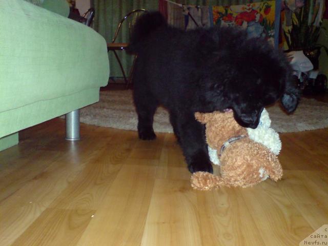 Фото: Светлана Белобаржевская