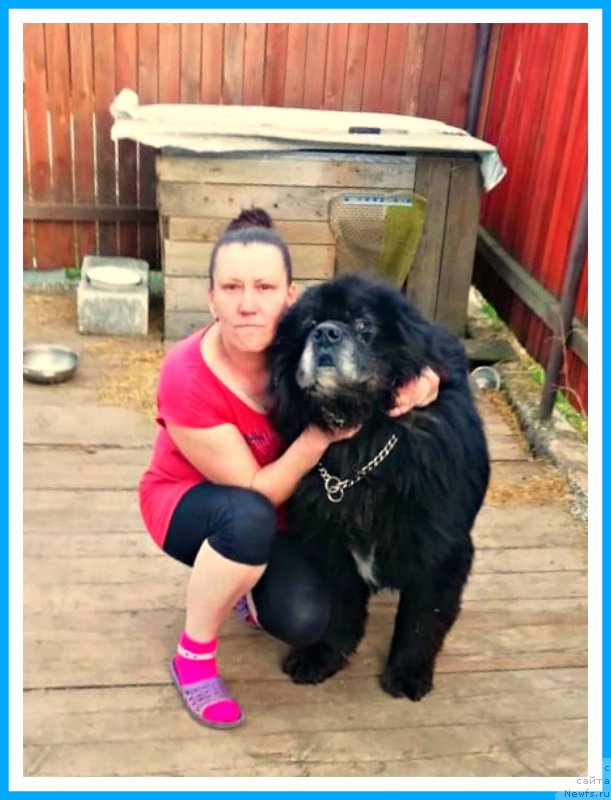 Фотография № 242630