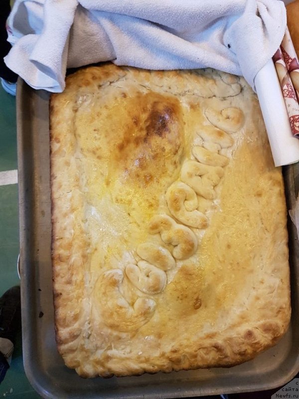 Фотография № 242641